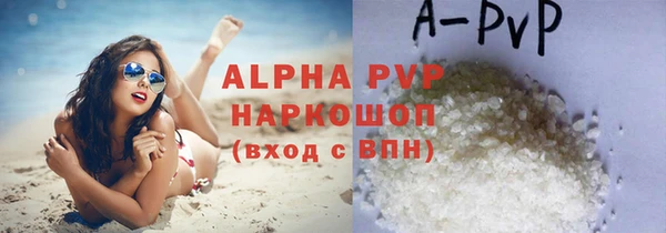 стаф Баксан