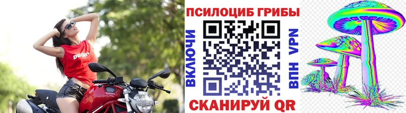 наркошоп Мамоново Псилоцибиновые грибы Magic Shrooms